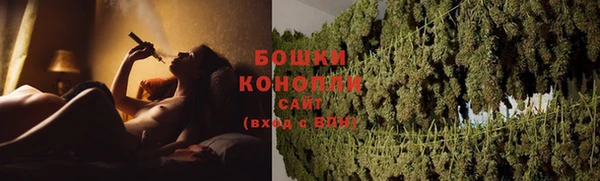 трава Белокуриха