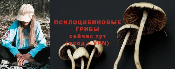 а пвп мука Беломорск