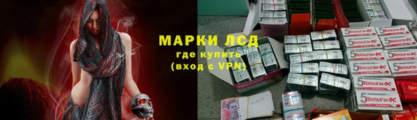 трава Белокуриха