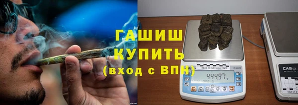 трава Белокуриха