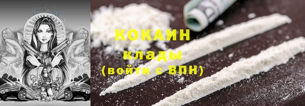 трава Белокуриха