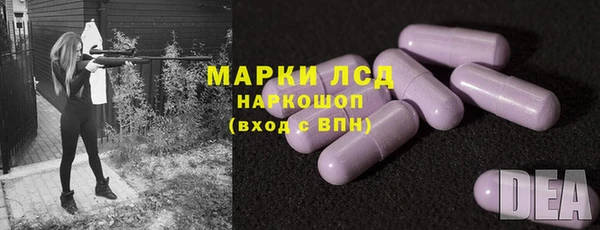 трава Белокуриха
