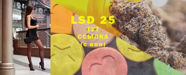 трава Белокуриха