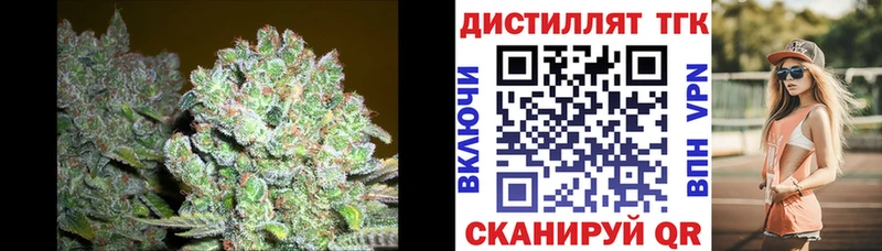 Купить где  Бодайбо  Дистиллят ТГК жижа 